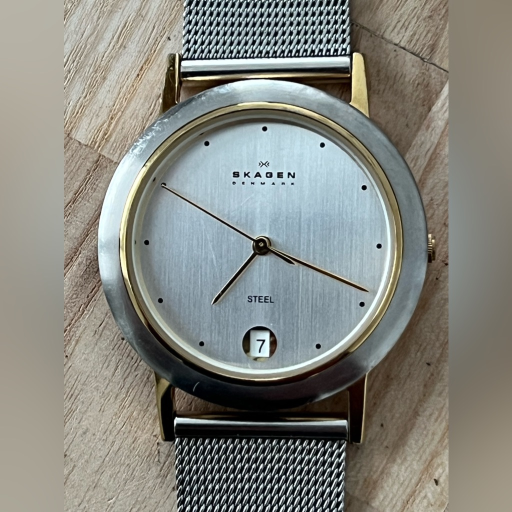 Skagen Steel Watch Silver Dial Date Window Adjustable Stainless Mesh Bracelet